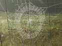 2017-09-27 09-55-22 Circuit la Briere MBo